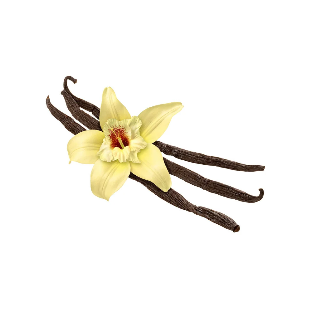 Capella French Vanilla Concentrate